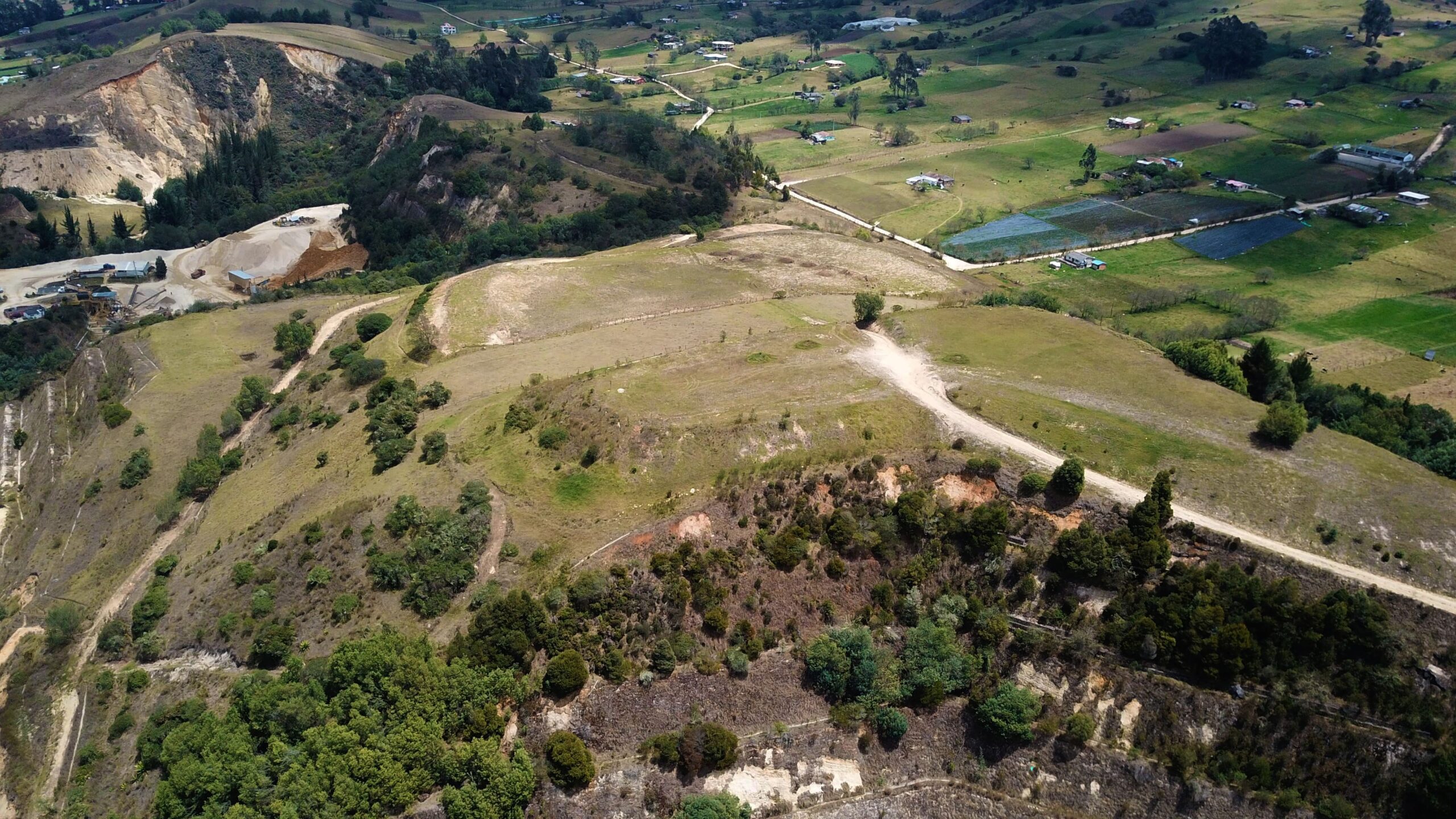 Galería 1
